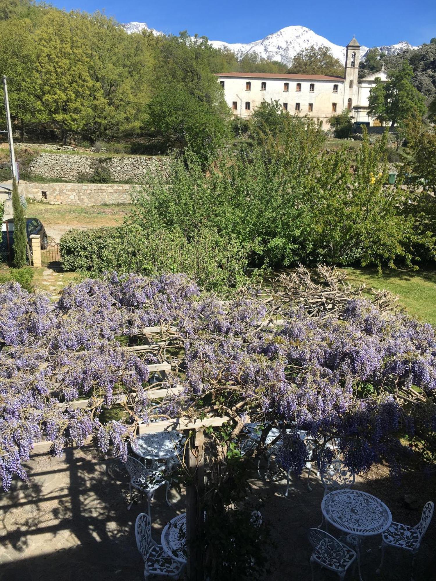 Casa Meridiana Calacuccia Chambre photo